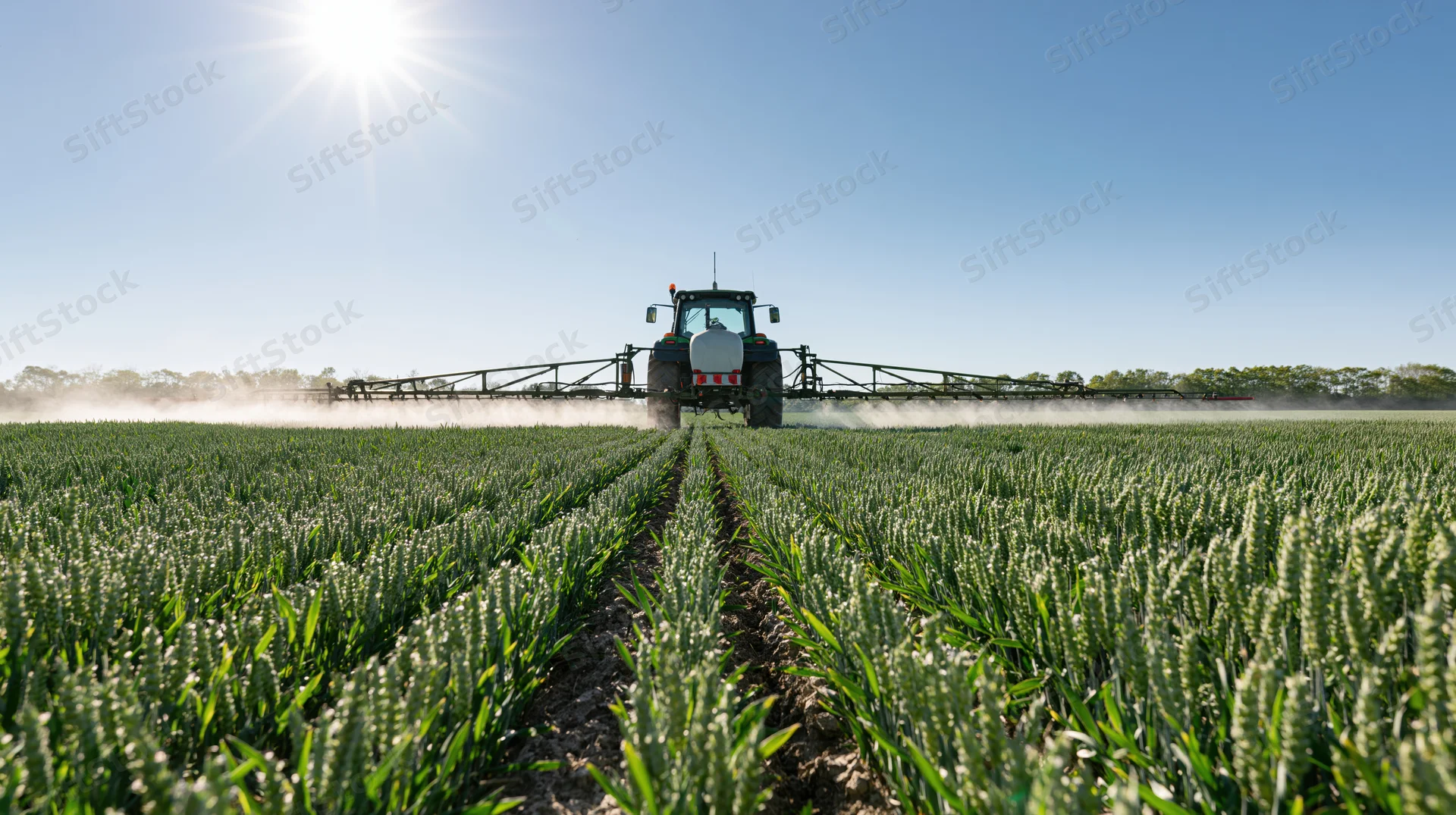 Tractor spraying pesticide across a wheat field under bright sun