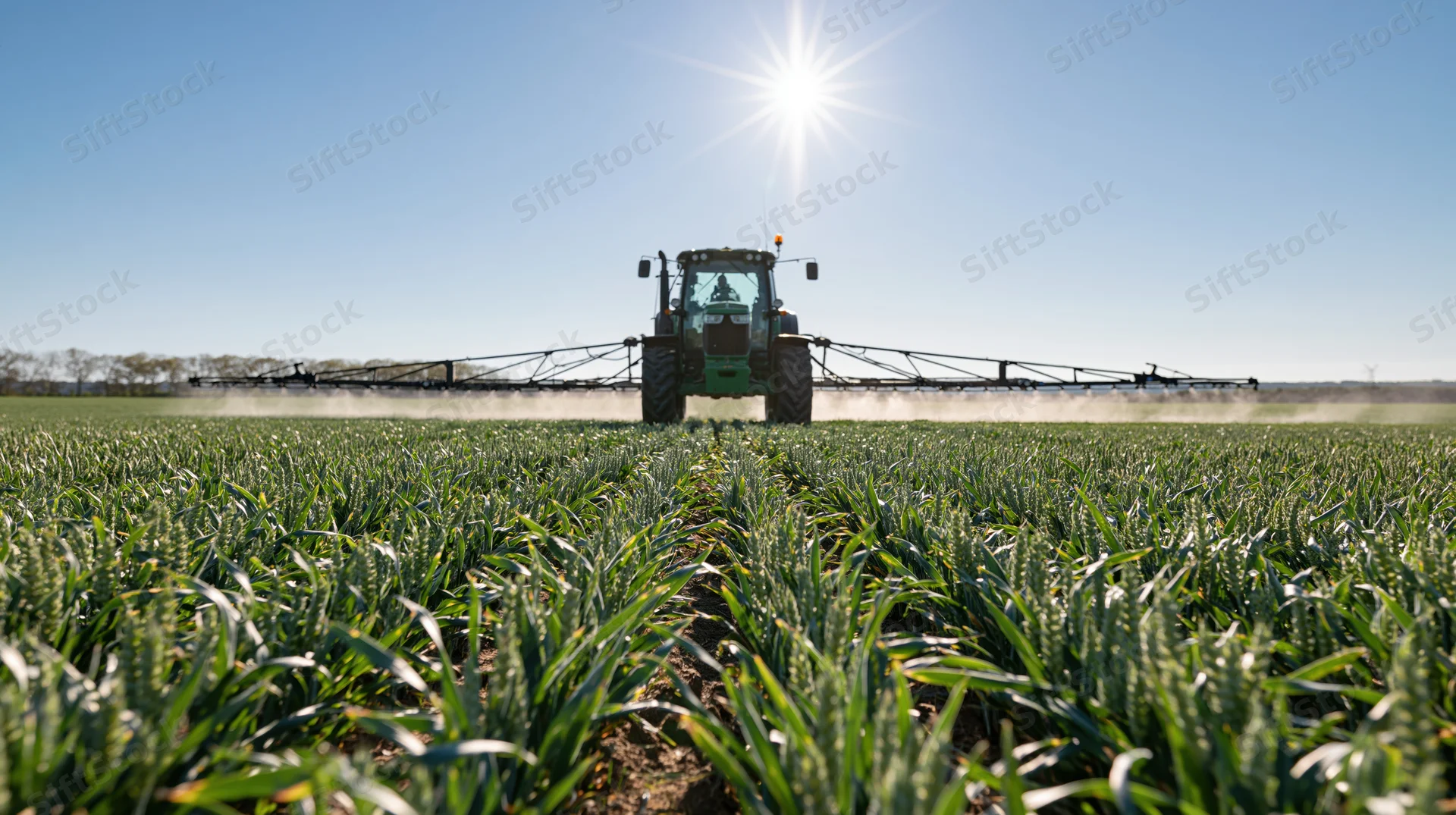 Tractor with wide spray booms applying pesticide across a green wheat field under bright sun