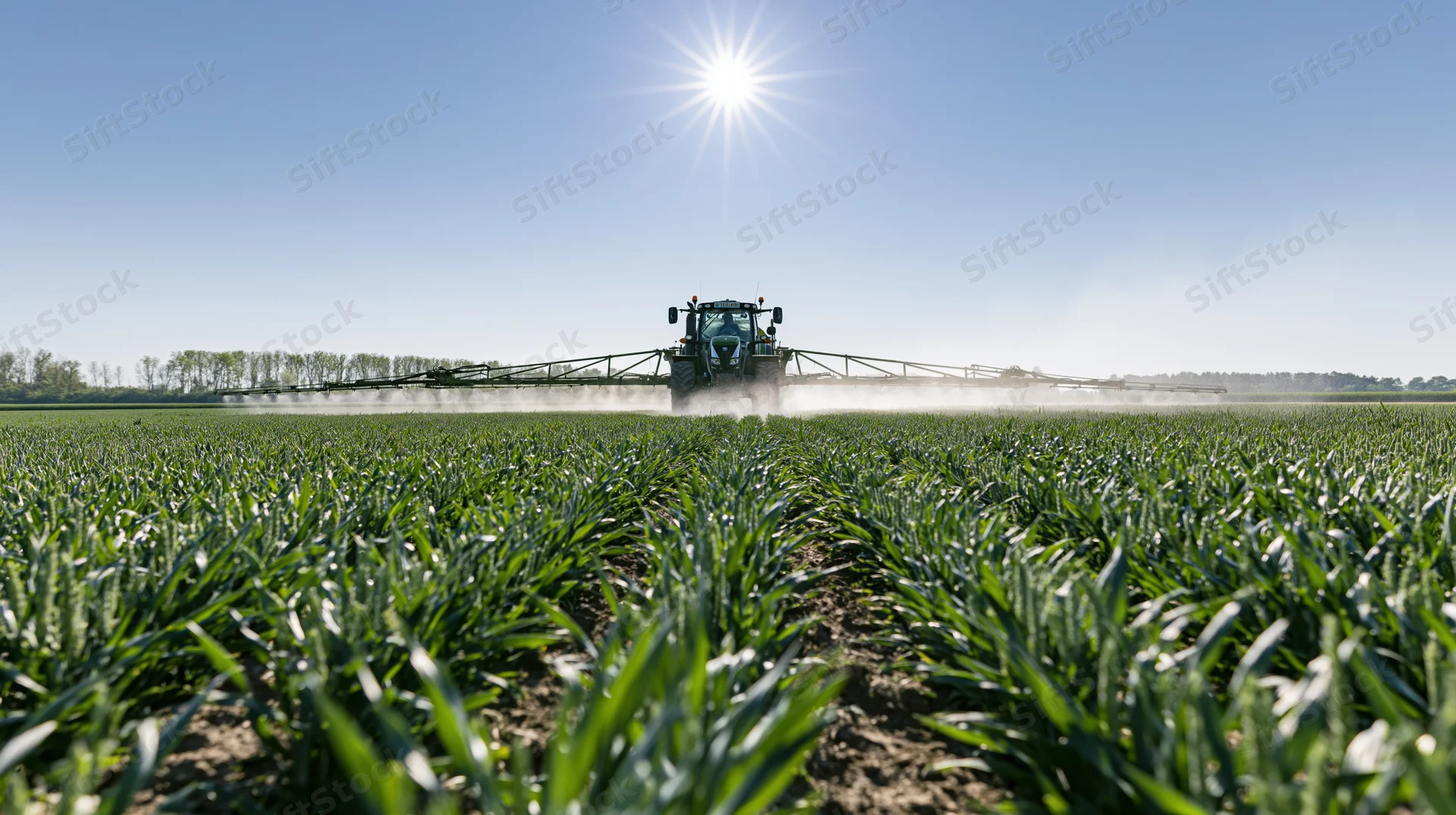 Tractor spraying pesticide across a green crop field under bright sun
