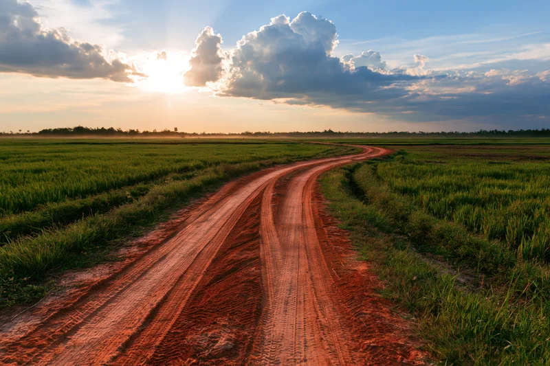 Winding dirt road with tire tracks curving through green fields at sunset