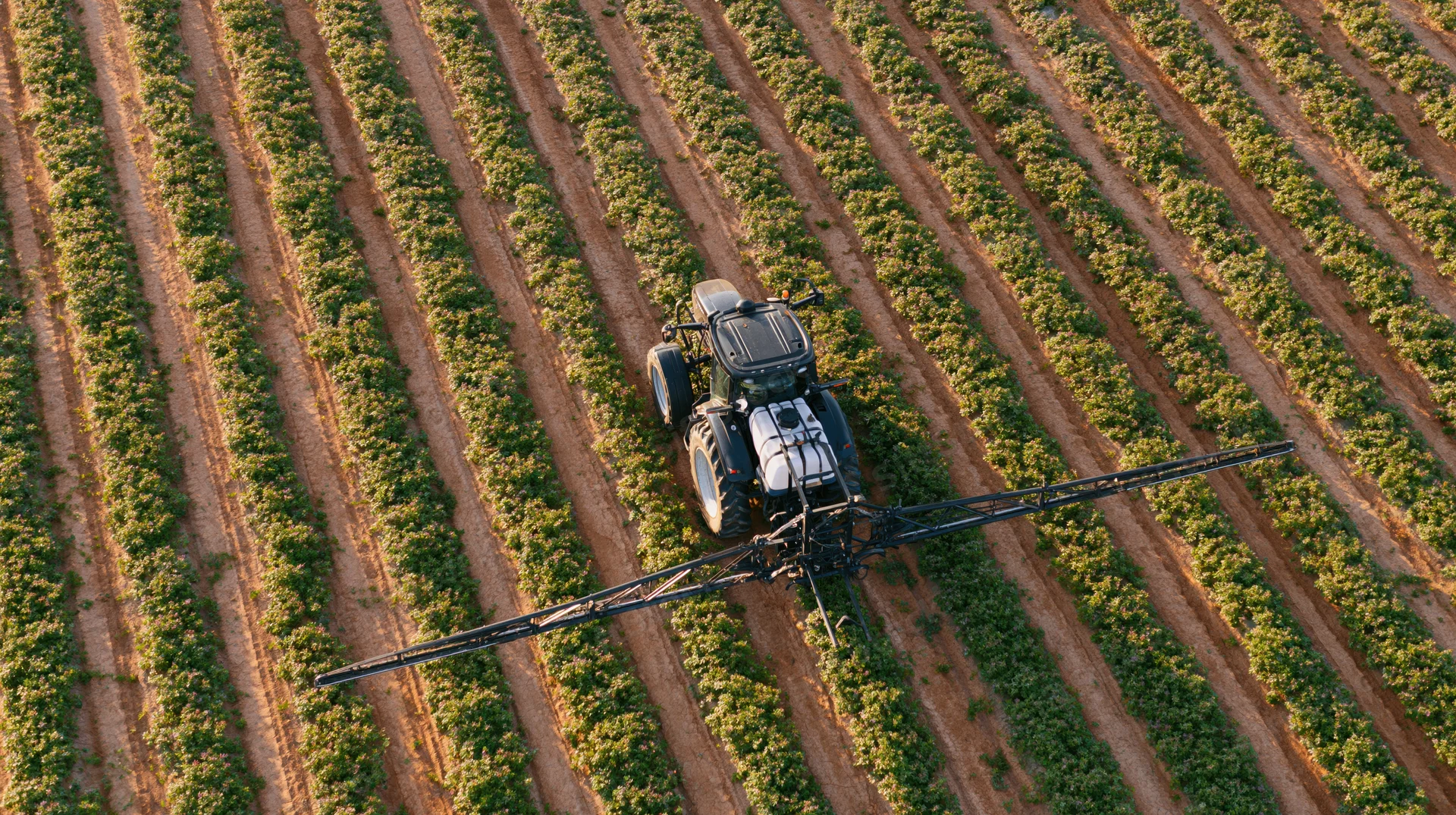 Aerial view of a black tractor spraying crops in a field
