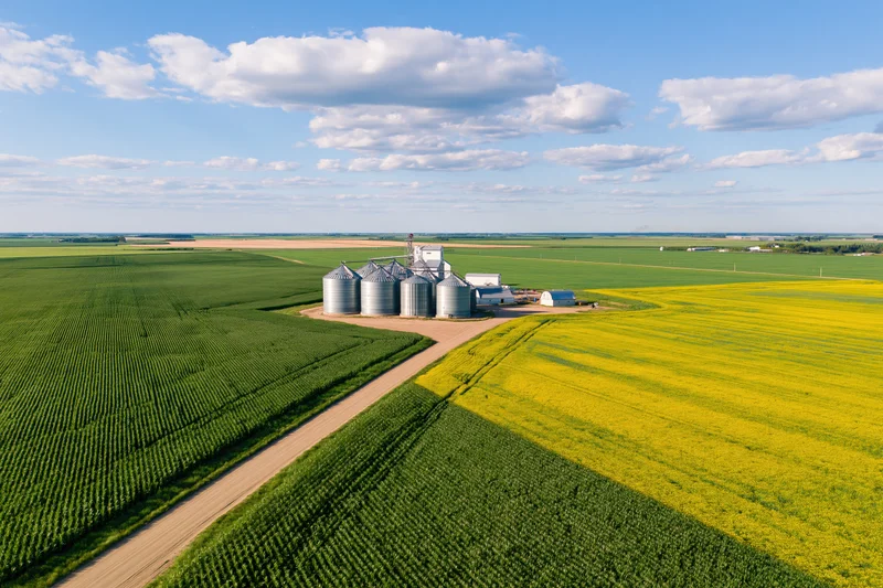 Aerial view of farm with silos and fields of corn and canola under blue sky with clouds