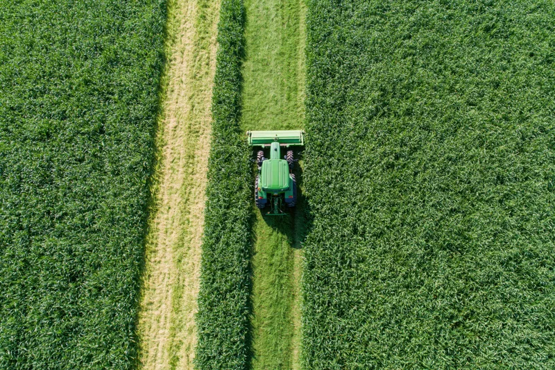 Aerial drone shot looking straight down at a crop field