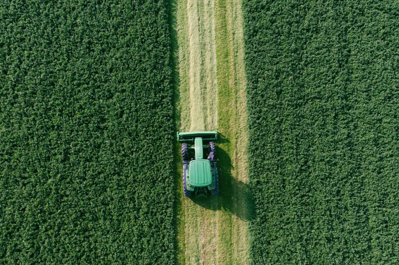 Aerial drone shot looking down at a green crop field