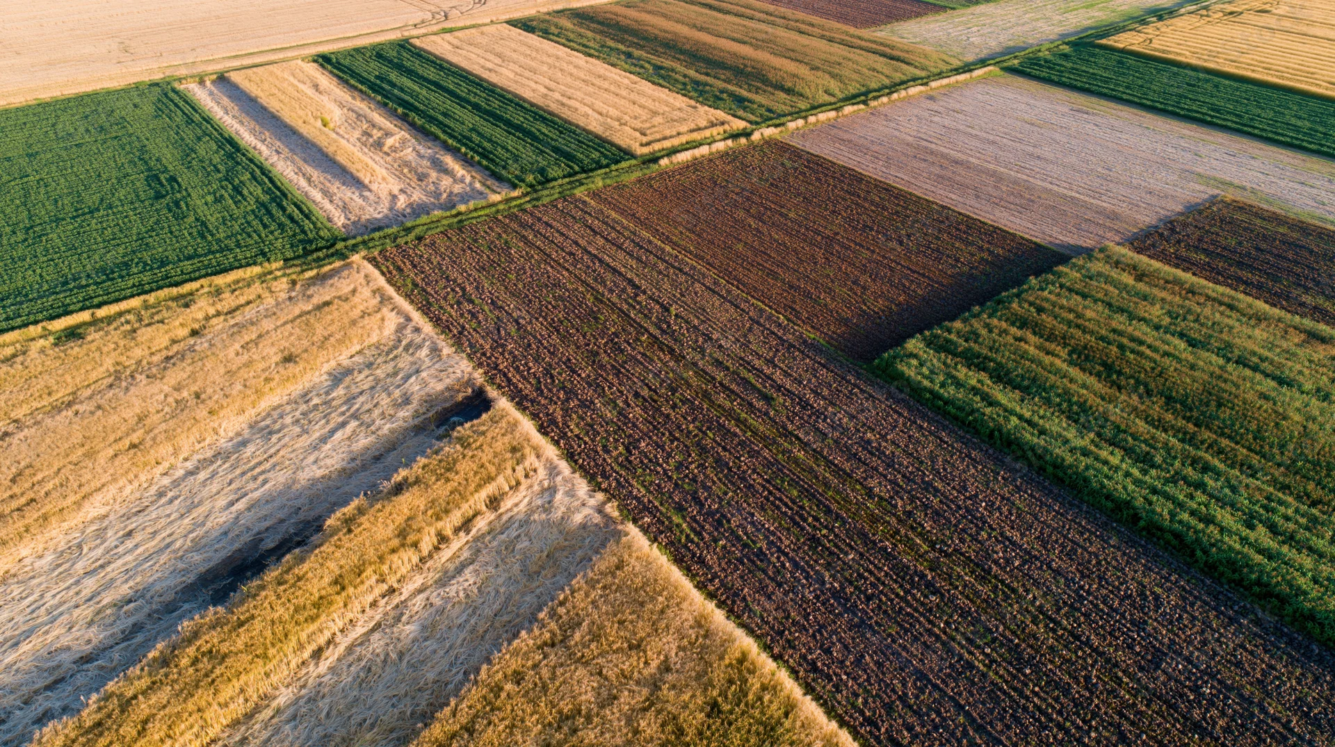 Aerial view of patchwork farmland with alternating crops and plowed fields