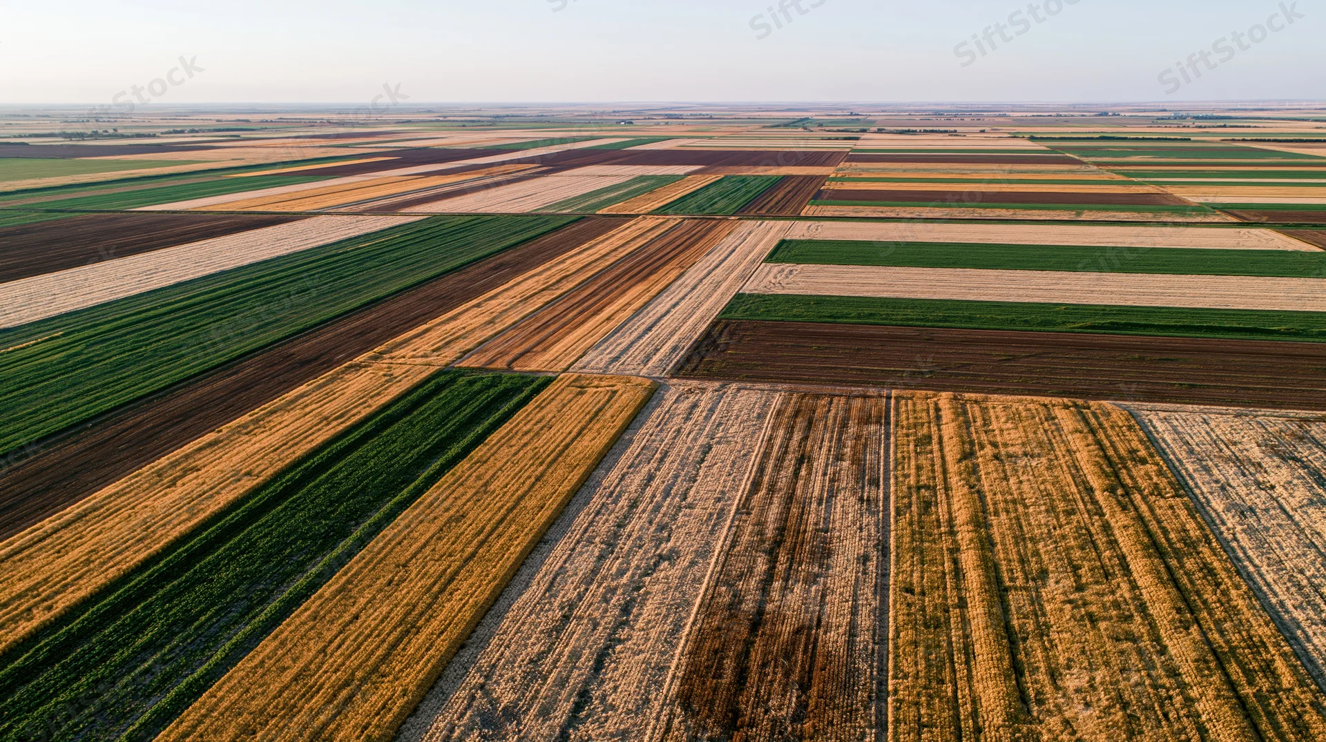 Aerial view of patchwork farmland fields from above showing cultivated crops and soil patterns