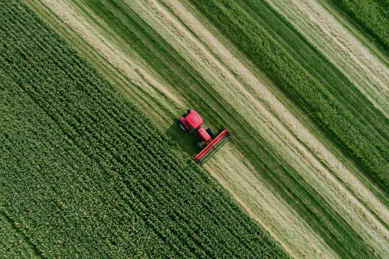 Red tractor mowing a cornfield from above, aerial view of agricultural fieldwork
