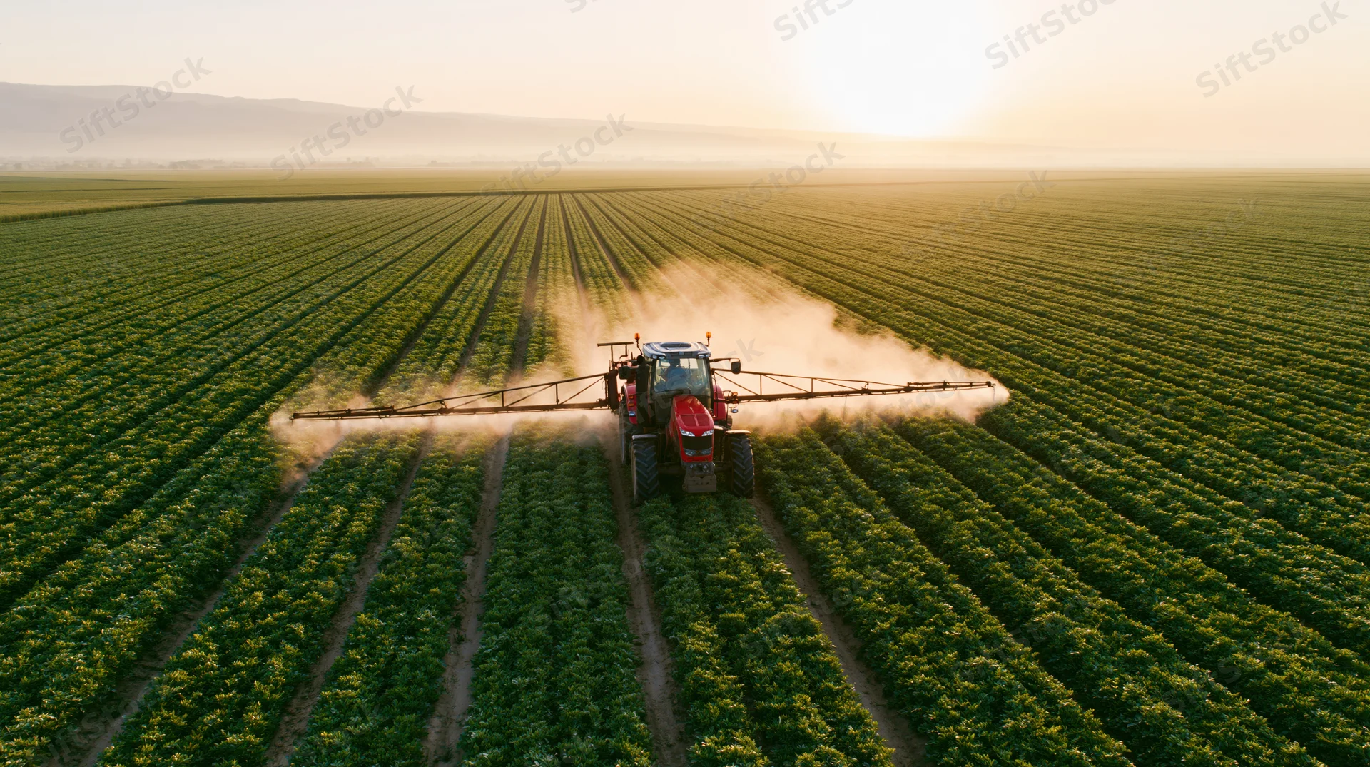 Red tractor spraying crops in a vast green field at sunset