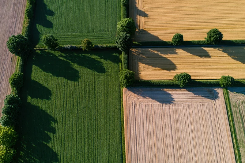 Aerial view of patchwork farmland with green and golden fields separated by hedgerows and trees