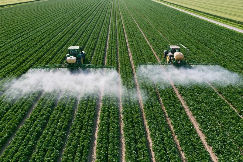 Two tractors spraying pesticide across a green soybean field from above