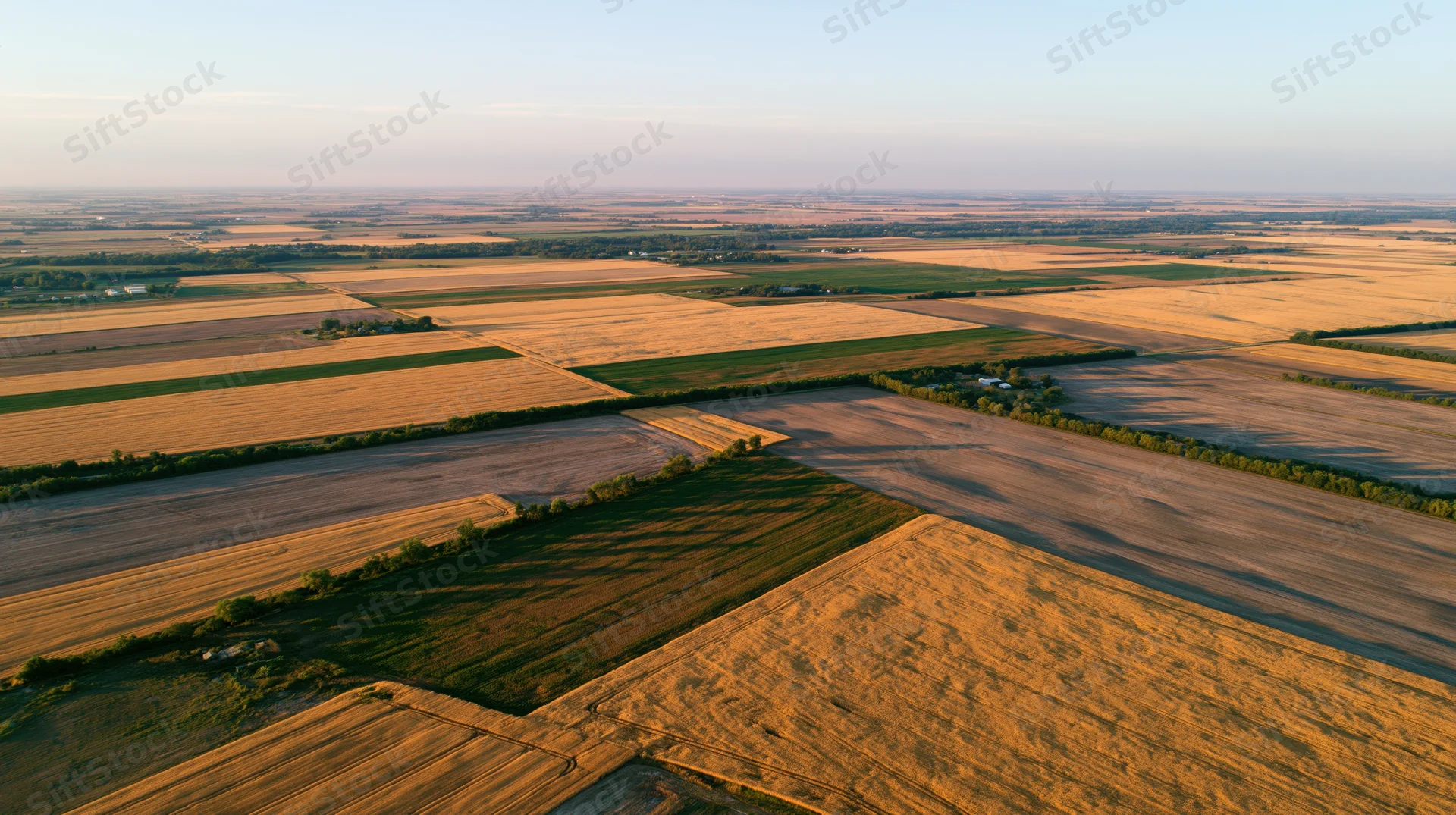 Aerial drone view of vast patchwork agricultural fields stretching into the horizon at sunset