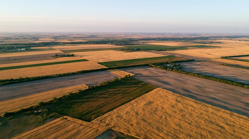 Aerial drone view of vast patchwork agricultural fields stretching into the horizon at sunset