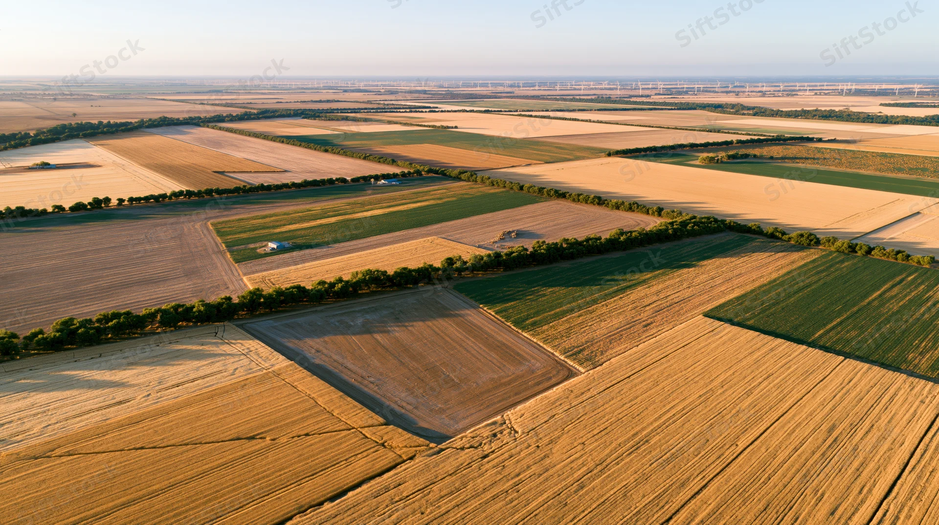 Aerial drone view of vast patchwork agricultural fields stretching under golden sunlight