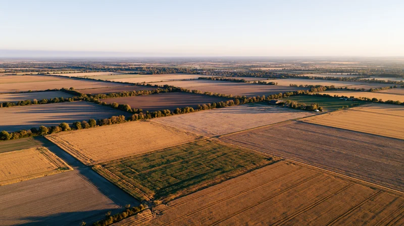 Aerial drone view of vast patchwork agricultural fields stretching into the horizon under warm sunlight