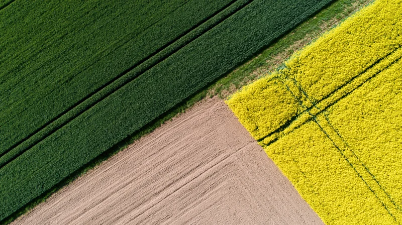 Aerial top-down view of three adjoining agricultural fields in green, yellow and brown hues
