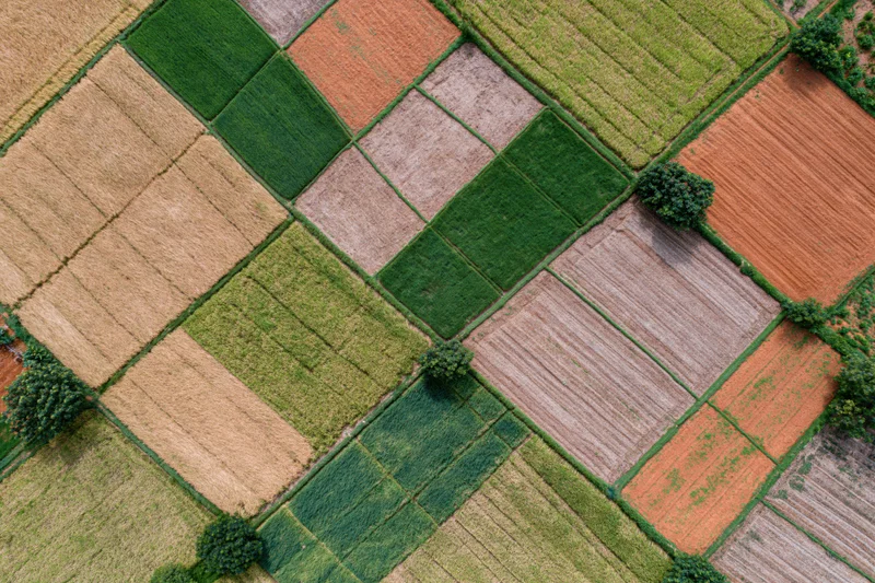 Aerial top-down view of patchwork farmland with varied crops and soil textures