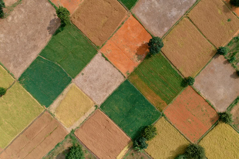Aerial top-down view of patchwork farmland with geometric fields in various colors and stages of cultivation