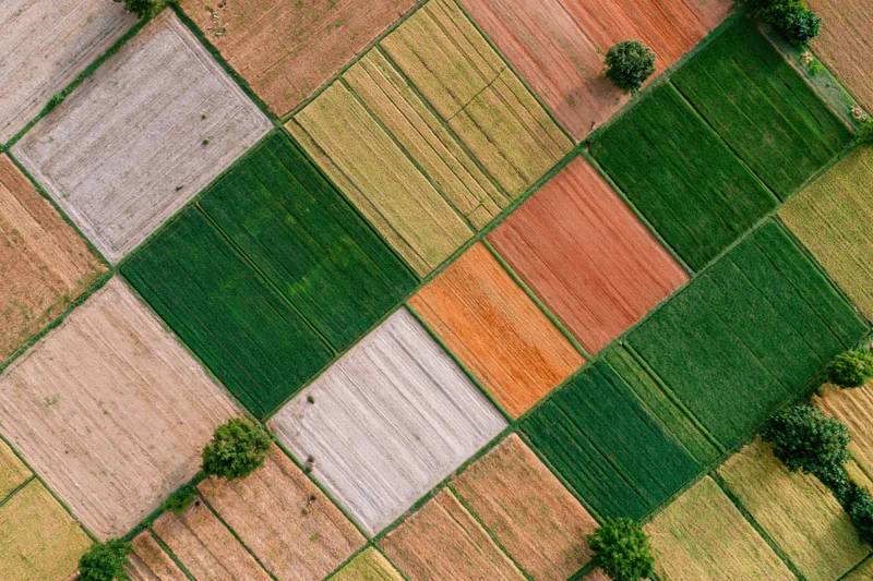 Aerial top-down view of patchwork farmland with geometric fields in various stages of cultivation