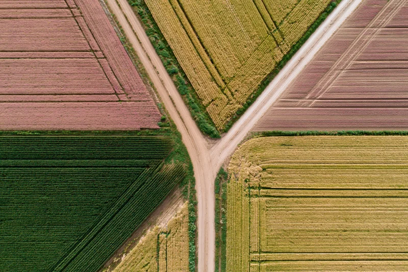 Aerial top-down view of intersecting dirt roads dividing colorful agricultural fields