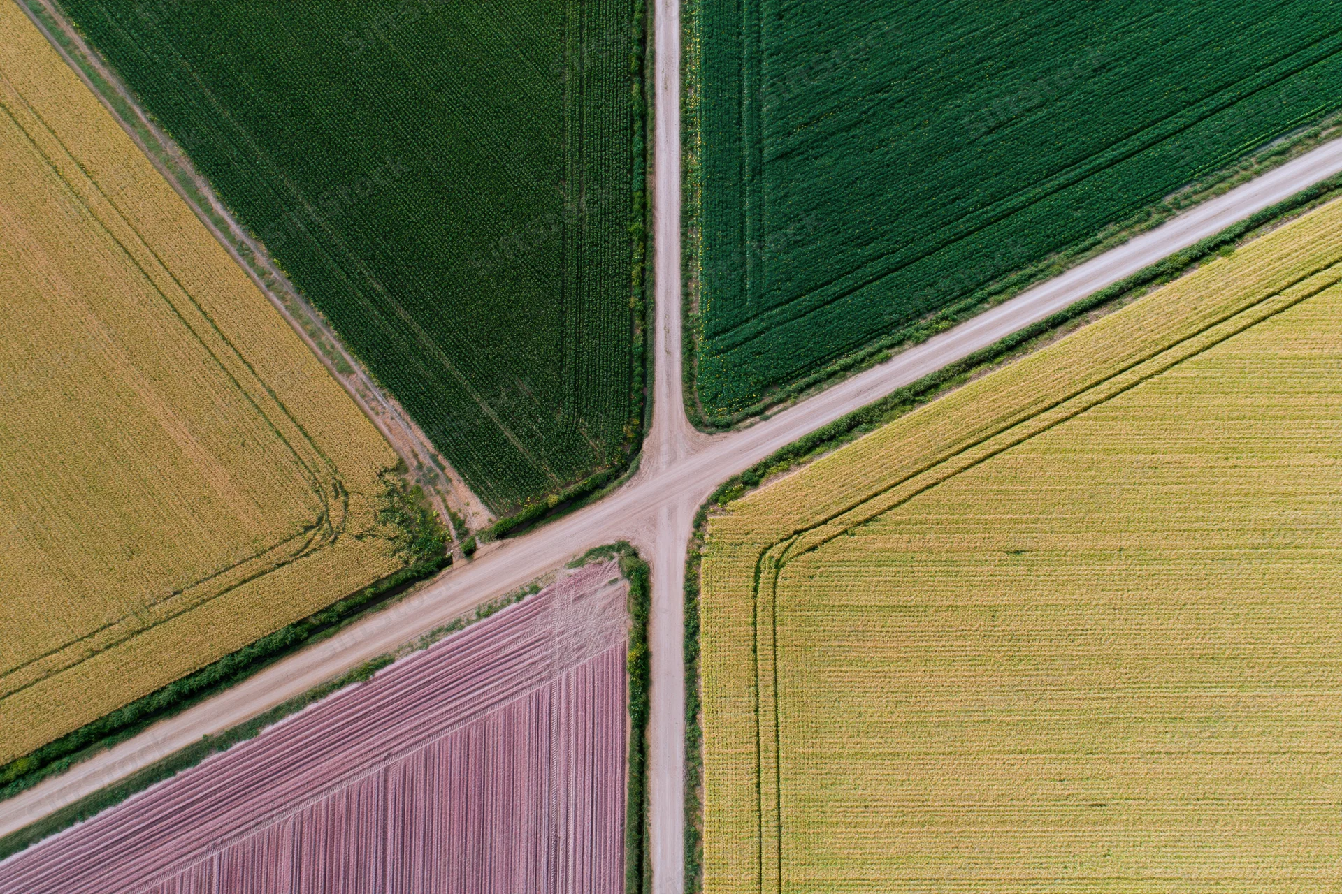 Aerial top-down view of intersecting farmland fields with different crops and dirt roads