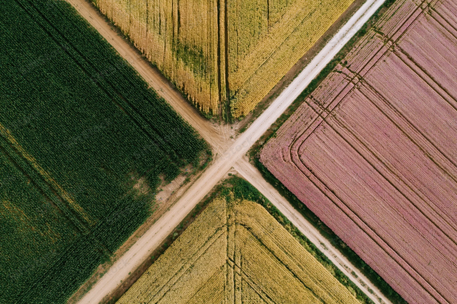 Aerial top-down view of intersecting farmland fields with different crops and soil patterns