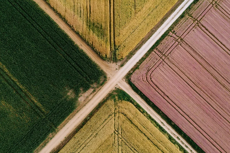 Aerial top-down view of intersecting farmland fields with different crops and soil patterns
