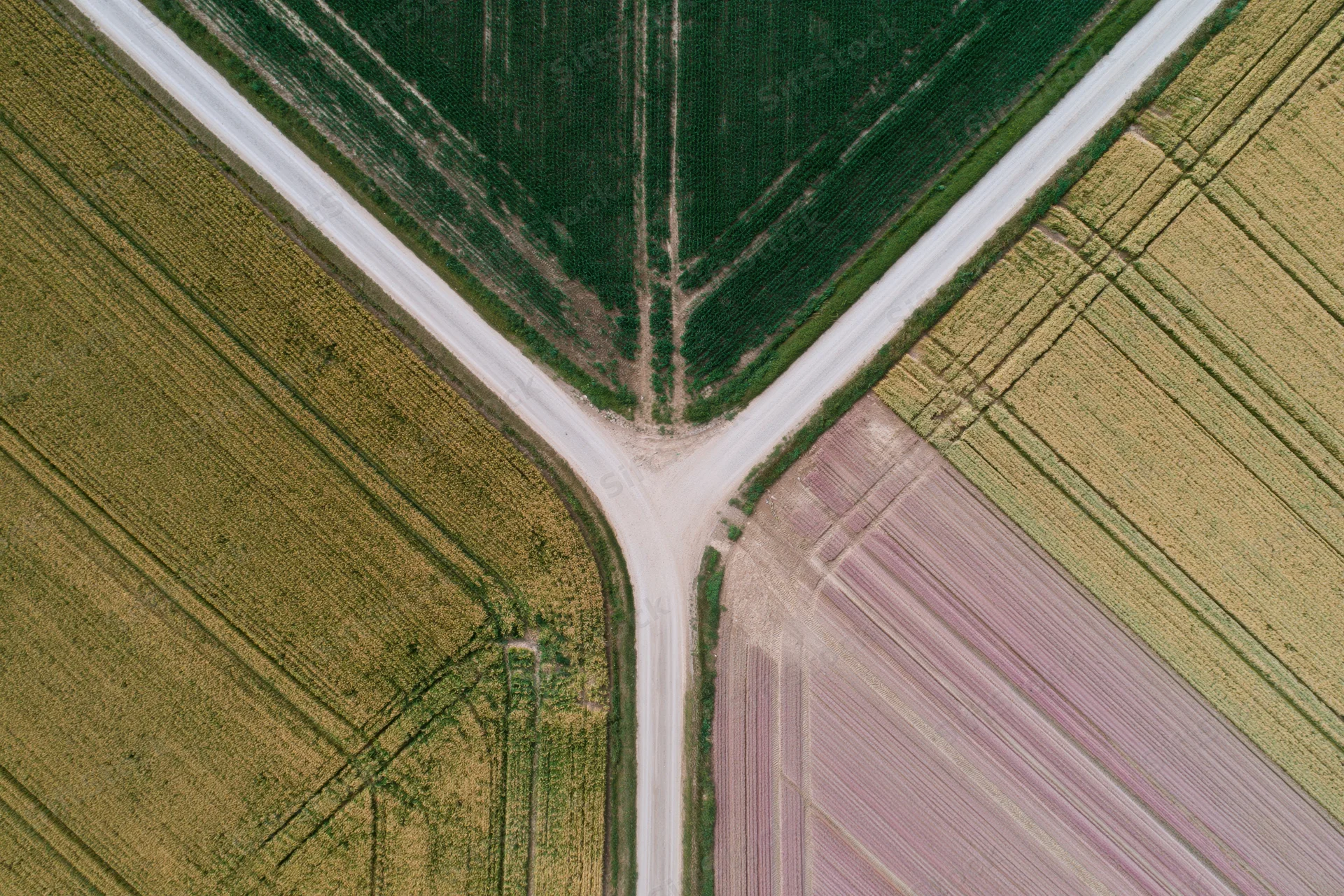 Aerial top-down view of intersecting dirt roads dividing colorful agricultural fields