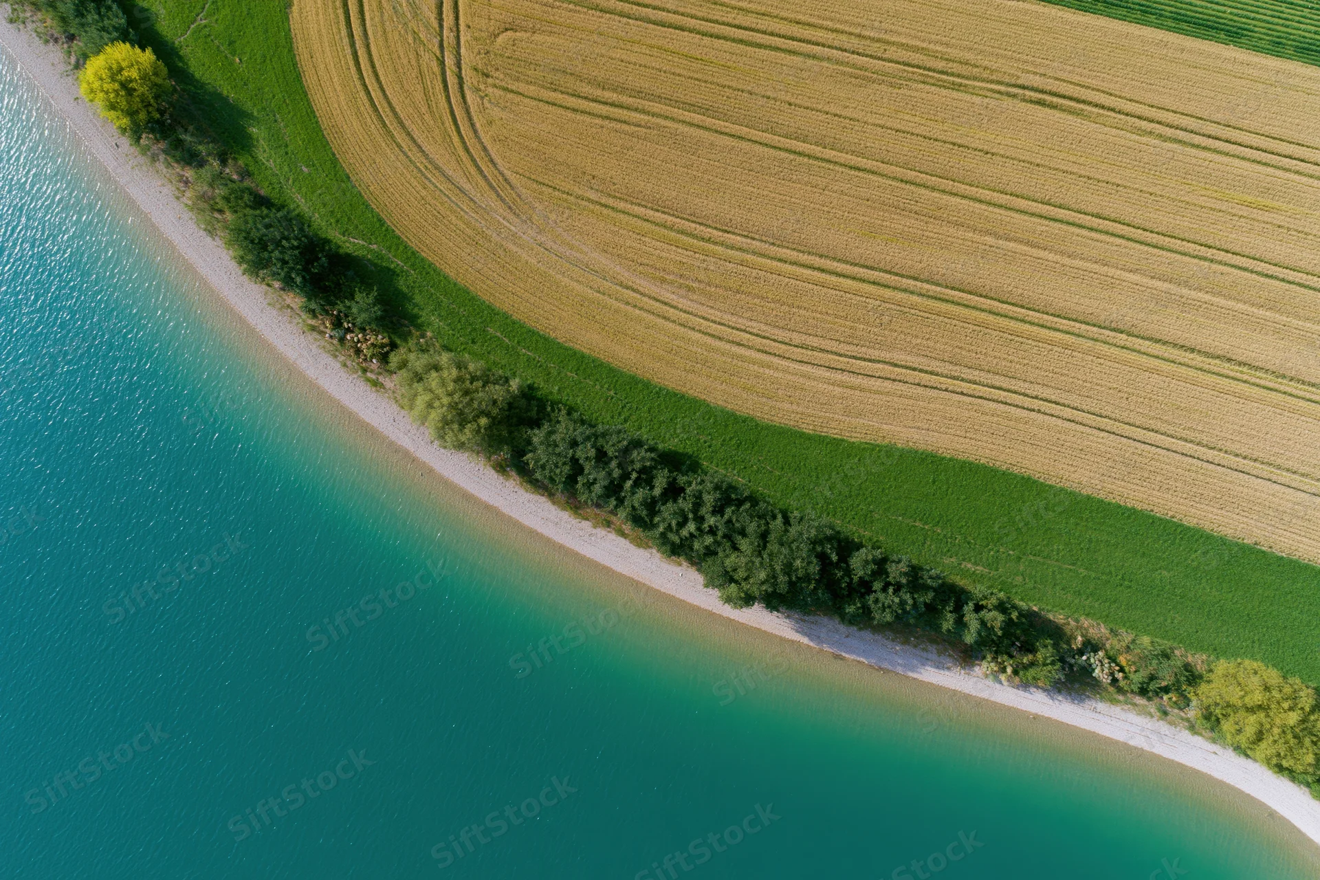Aerial top-down view of golden agricultural fields bordering a turquoise river with green vegetation along the shoreline