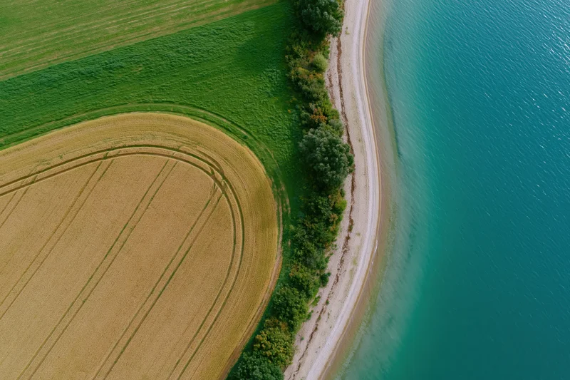Aerial top-down view of agricultural fields meeting a turquoise lake shore
