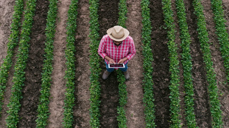 Farmer using tablet in crop field rows