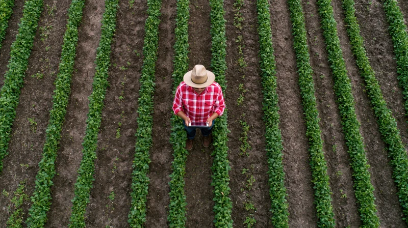 Farmer using tablet in crop field rows