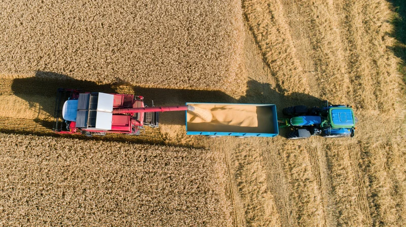 Aerial view of combine harvester transferring grain into trailer