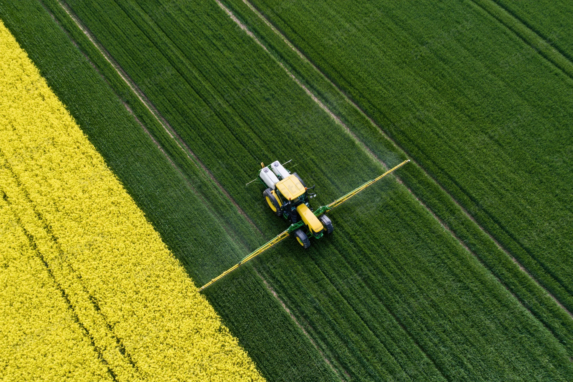 Yellow tractor spraying pesticide across a green field next to a yellow canola crop from an aerial top-down view