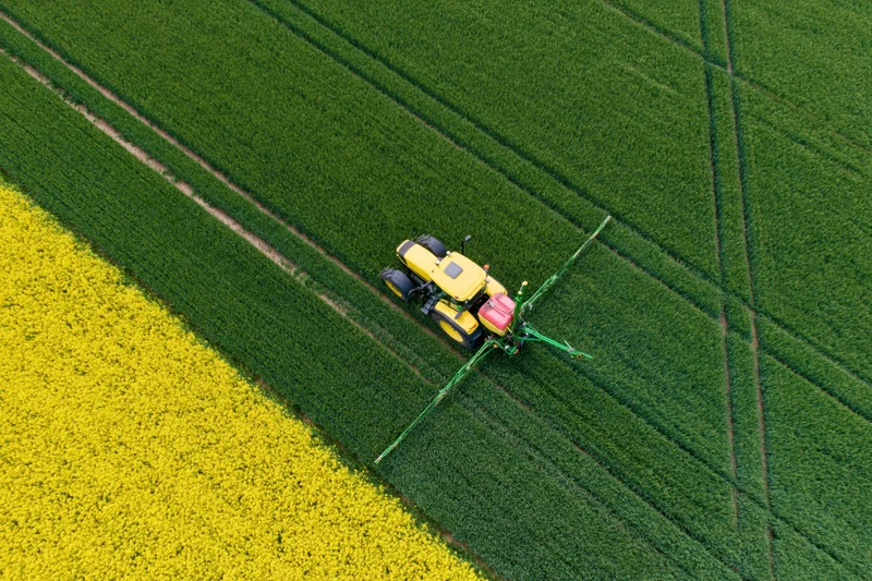 Yellow tractor spraying pesticide across a green crop field from above