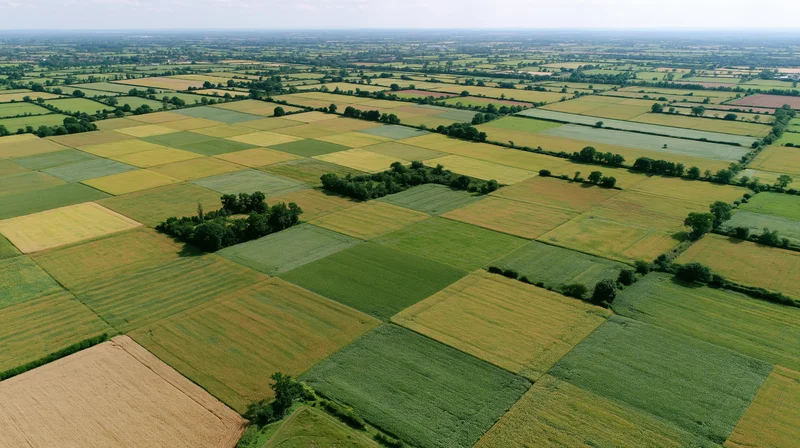 Aerial top-down view of patchwork agricultural farmland stretching across the countryside