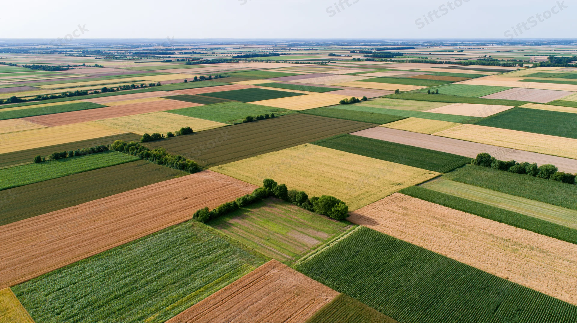 Aerial top-down view of patchwork agricultural farmland stretching into the distance