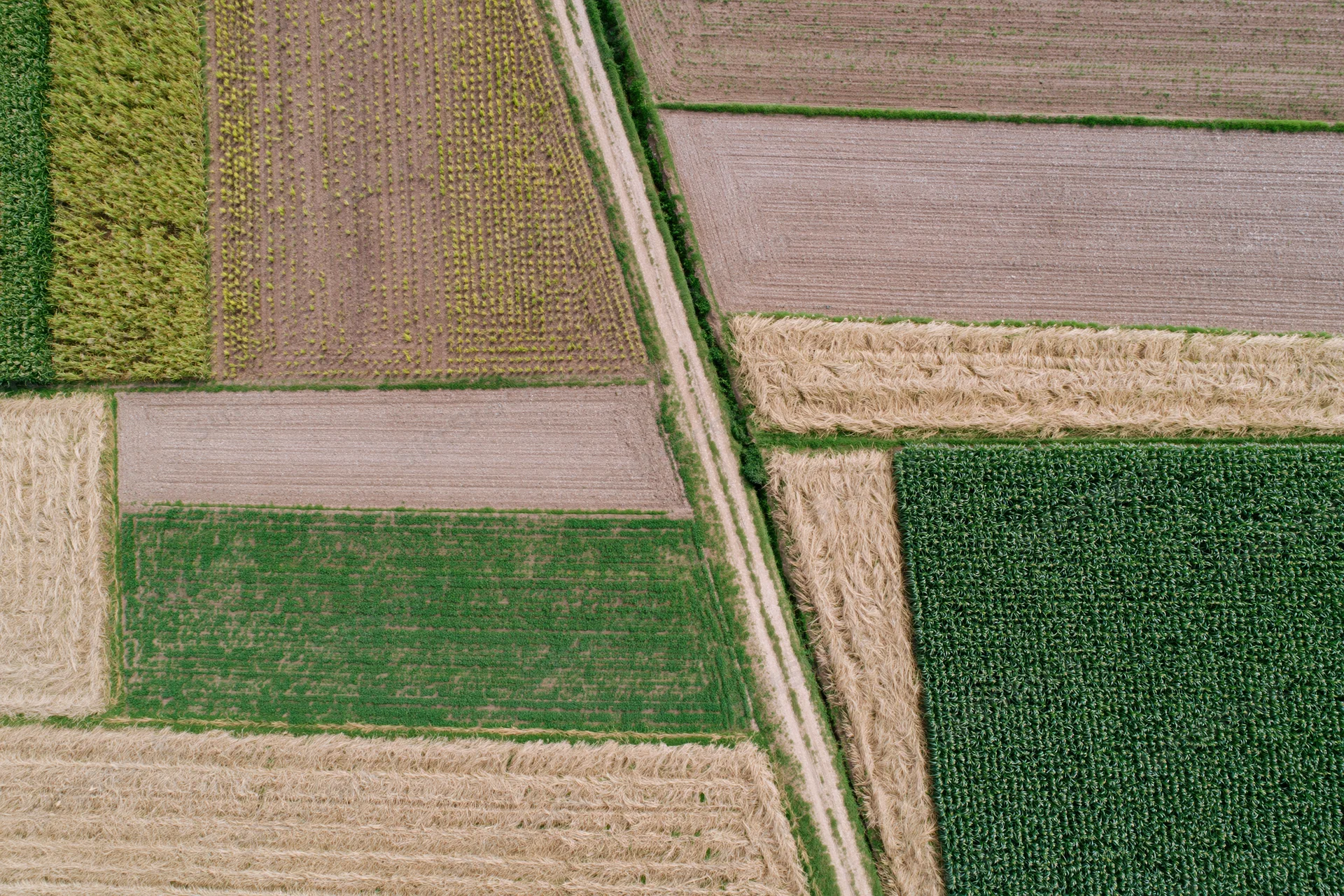 Aerial top-down view of patchwork agricultural fields divided by paths and crop types
