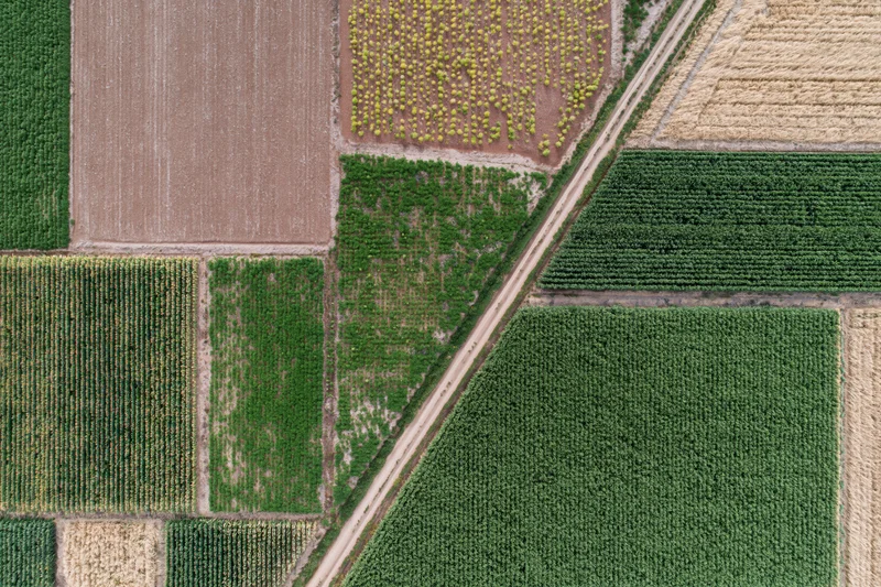 Aerial top-down view of patchwork agricultural fields divided by dirt roads and crop rows
