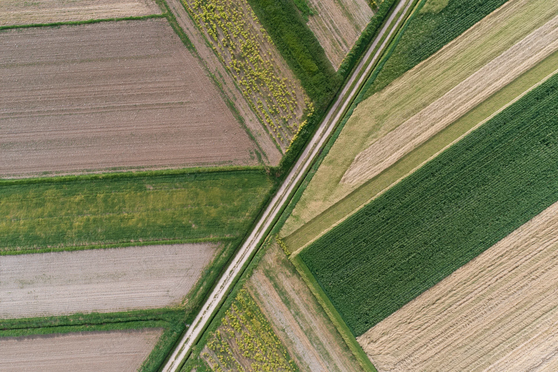 Aerial top-down view of patchwork agricultural fields divided by roads and hedgerows