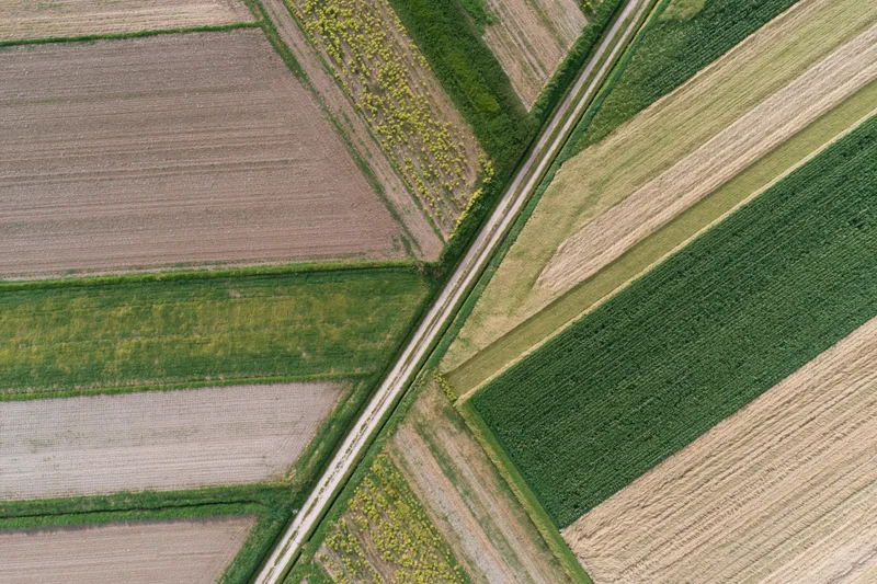 Aerial top-down view of patchwork agricultural fields divided by roads and hedgerows