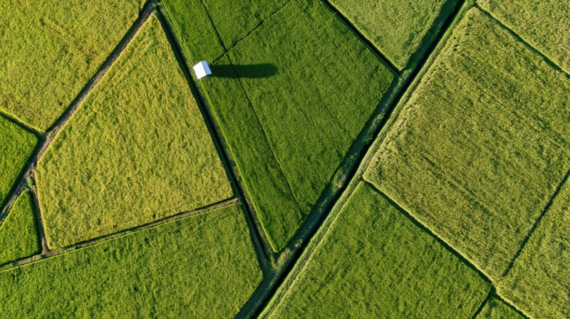 Aerial top-down view of patchwork rice paddy fields divided by dark paths with a small white structure casting a shadow