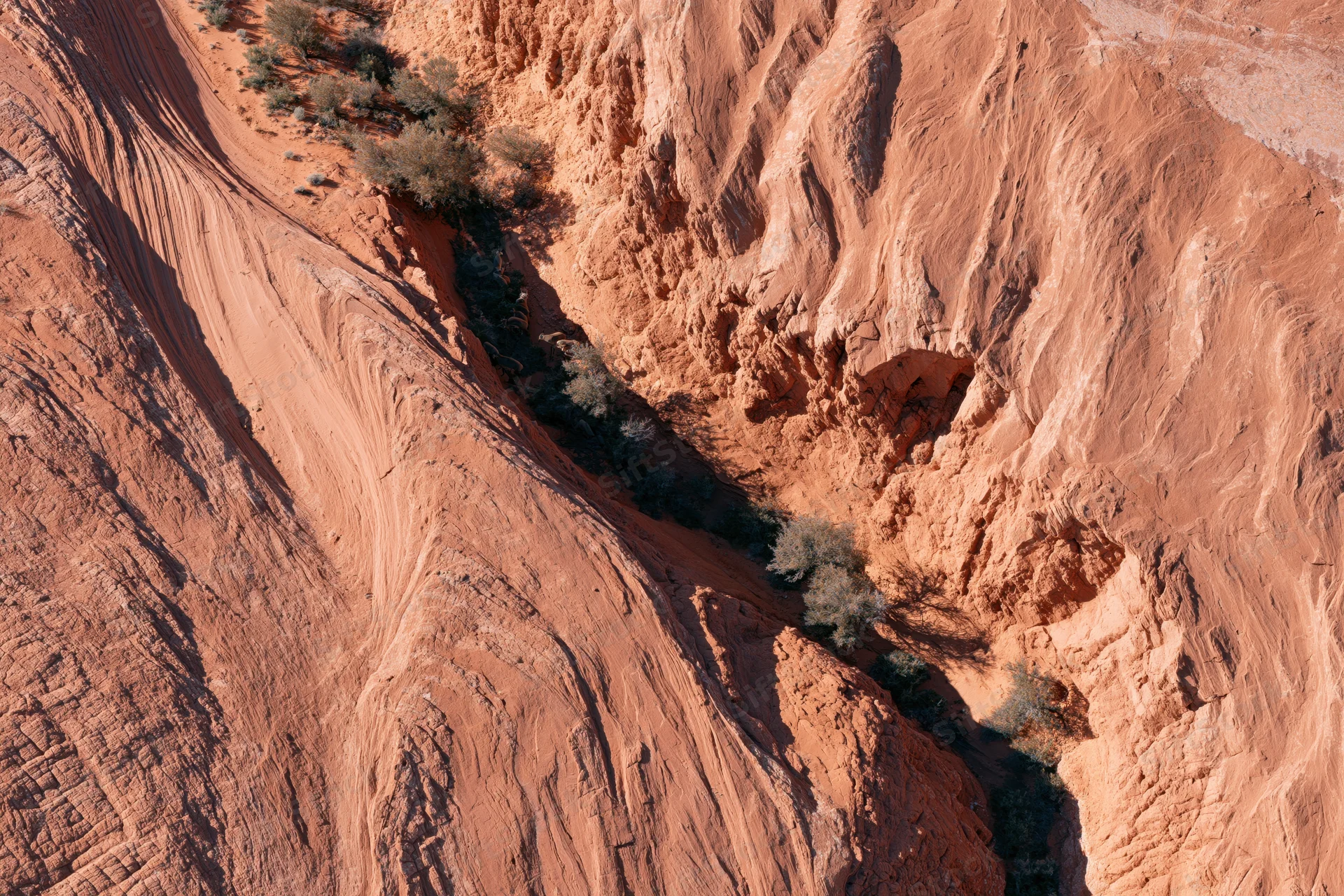 Aerial top-down view of red sandstone canyon with eroded rock formations and sparse shrubs in desert terrain