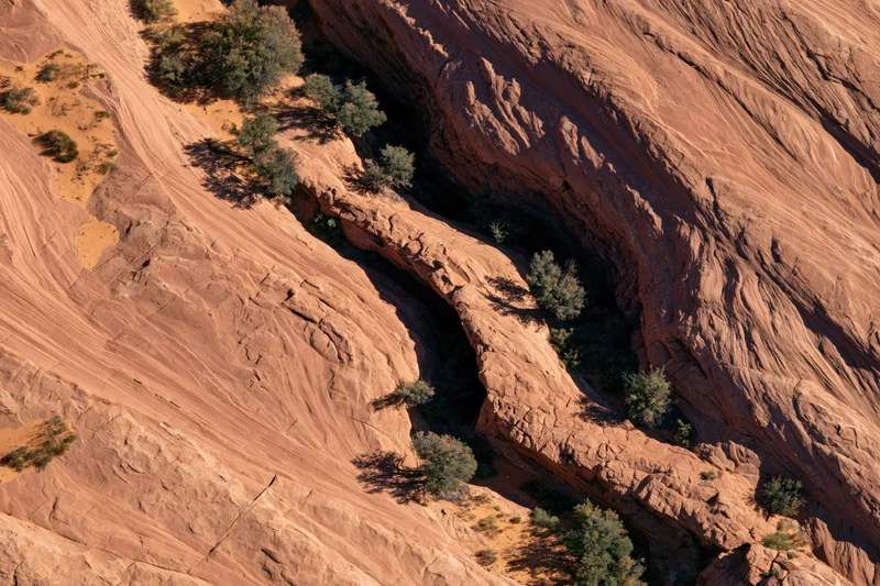 Aerial top-down view of red sandstone canyon landscape with sparse vegetation and layered rock formations