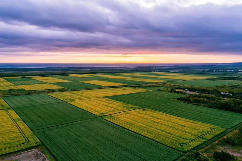 Aerial view of flat agricultural fields divided into geometric patterns under a cloudy sunset sky
