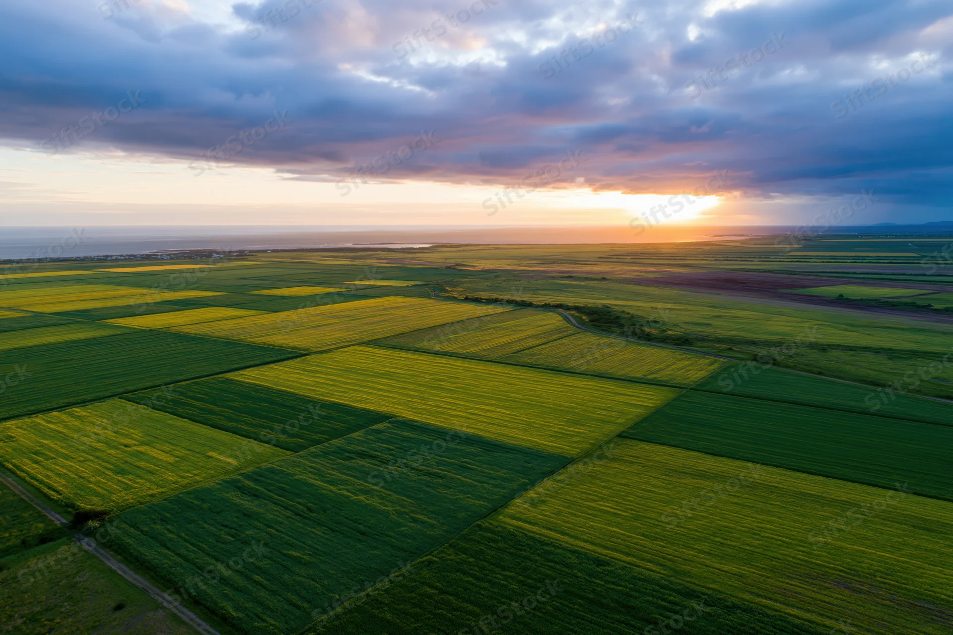 Aerial view of flat agricultural fields divided into geometric patterns at sunset near the horizon