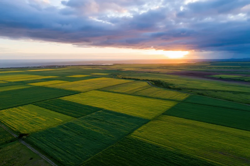 Aerial view of flat agricultural fields divided into geometric patterns at sunset near the horizon