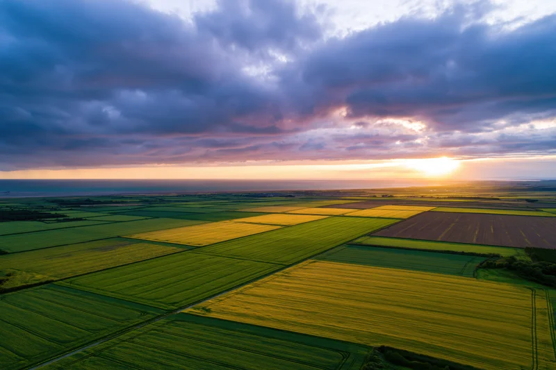Aerial view of flat agricultural fields divided into geometric patterns under a dramatic sunset sky