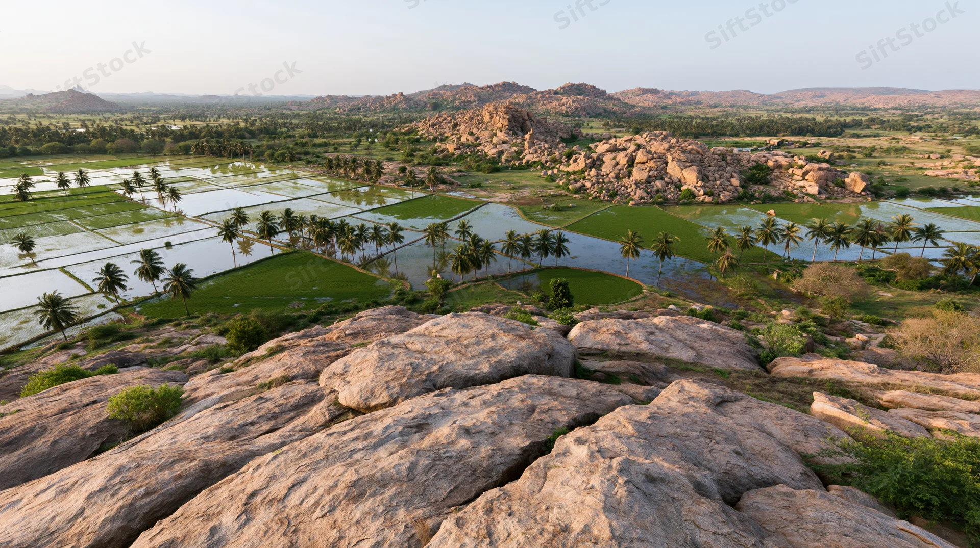 Aerial view of flooded rice paddies and palm trees scattered across rocky terrain in rural india