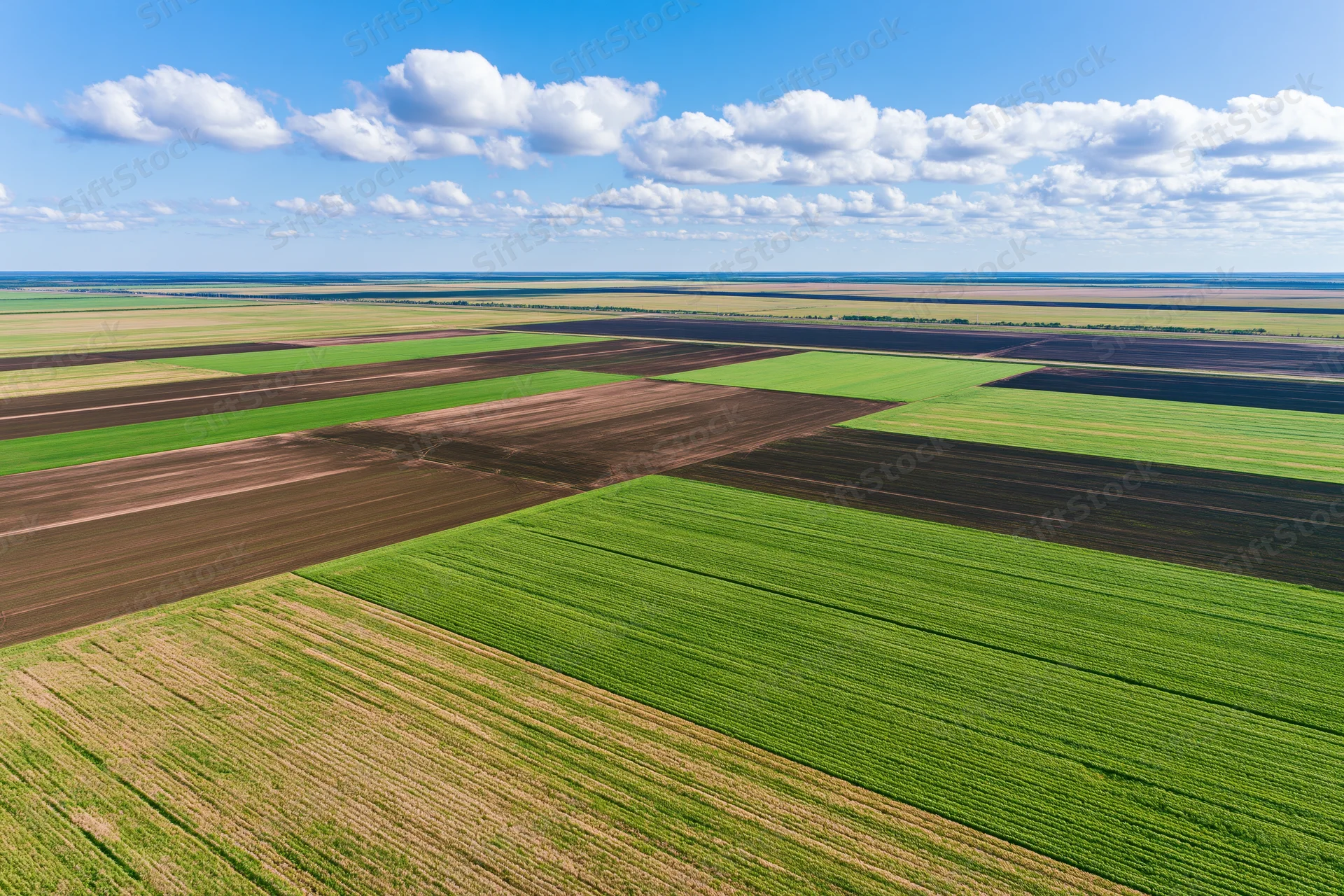 Aerial view of vast flat agricultural land divided into geometric fields under a blue sky with clouds