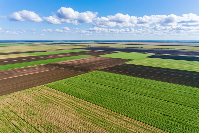 Aerial view of vast flat agricultural land divided into geometric fields under a blue sky with clouds
